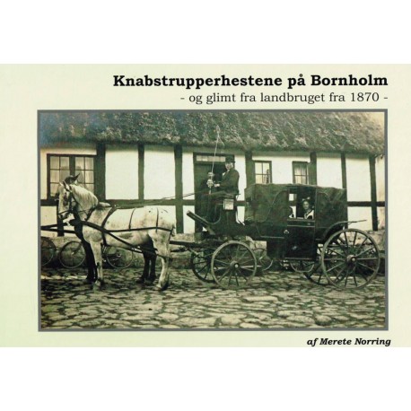 Knapstrupperhestene på Bornholm-og-glimt-fra-landbruget-fra-1870