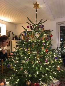 juletræ 2017